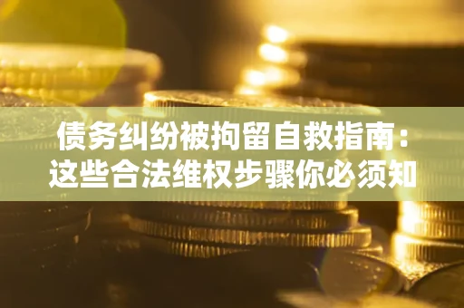 济南债务纠纷被拘留自救指南：这些合法维权步骤你必须知道！