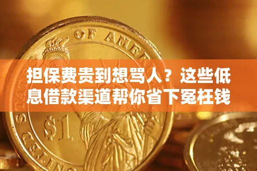 济南担保费贵到想骂人？这些低息借款渠道帮你省下冤枉钱