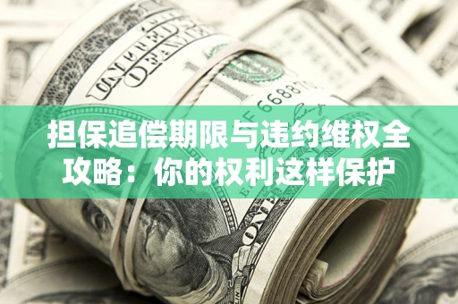 济南担保追偿期限与违约维权全攻略：你的权利这样保护